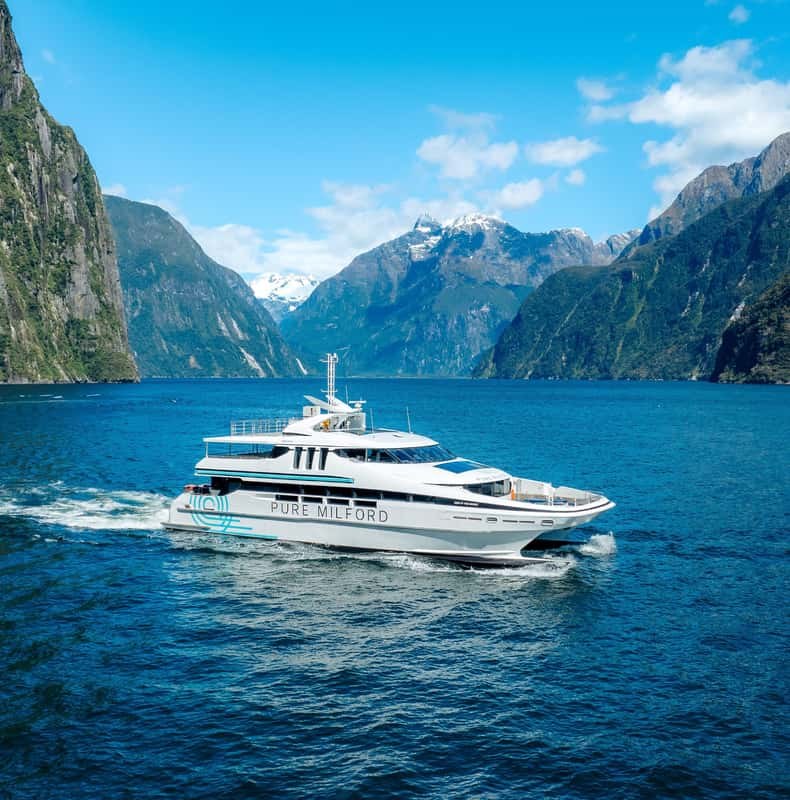 Milford Sound: Nature Cruise on a Modern Catamaran