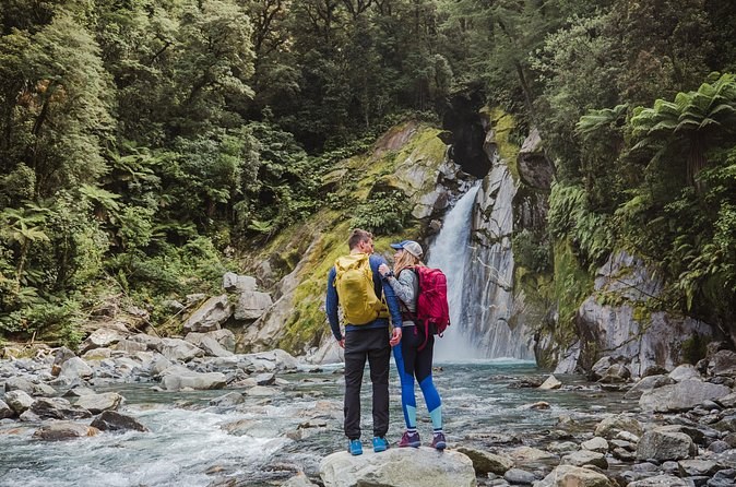 Two walkers with packs, seen from behind, looking up at a waterfall in the rainforest